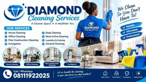 Diamond Cleaning Services