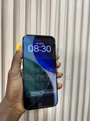Apple iPhone 16 Pro Max 256 GB Black