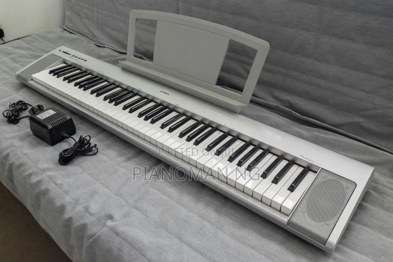Yamaha Np30 