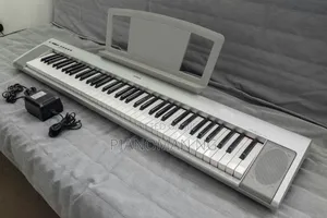 Yamaha Np30 