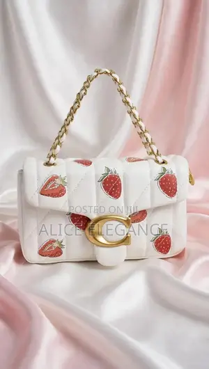 Coach Mini Handbag