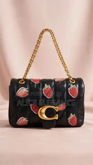 Coach Mini Handbag