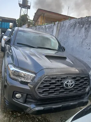Toyota Tacoma 2017 Gray