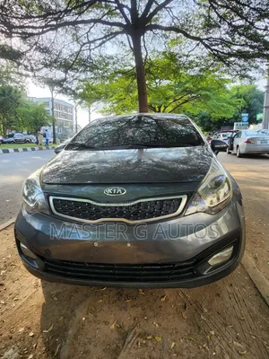 Kia Rio 2014 Gray