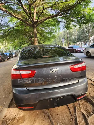Kia Rio 2014 Gray