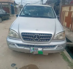 Mercedes-Benz M Class ML 320 2002 Silver