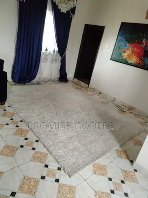 Foreign Fluffy Rug