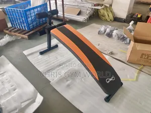 Arc-Shaped Curve Sit-Up Bench