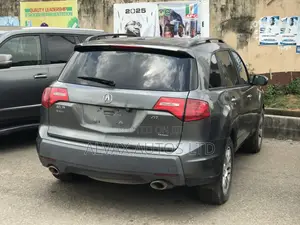 Acura MDX 2009 Gray