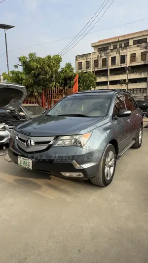 Acura MDX 2008 Blue