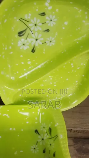 2pcs Unbreakable Plates ( 1)
