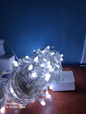 Christmas Led Lights
