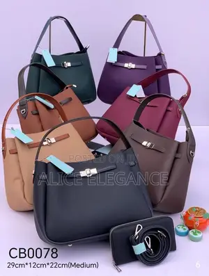2in1 Chrisbella Luxury Handbags