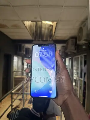 Apple iPhone 11 Pro Max 256 GB Gray