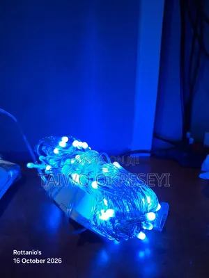 Christmas Led Lights