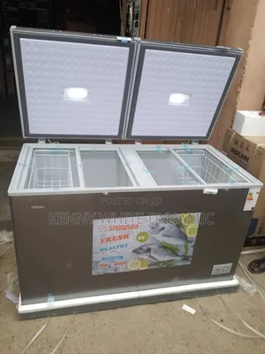 Snowsea Deep Freezer Model BD600