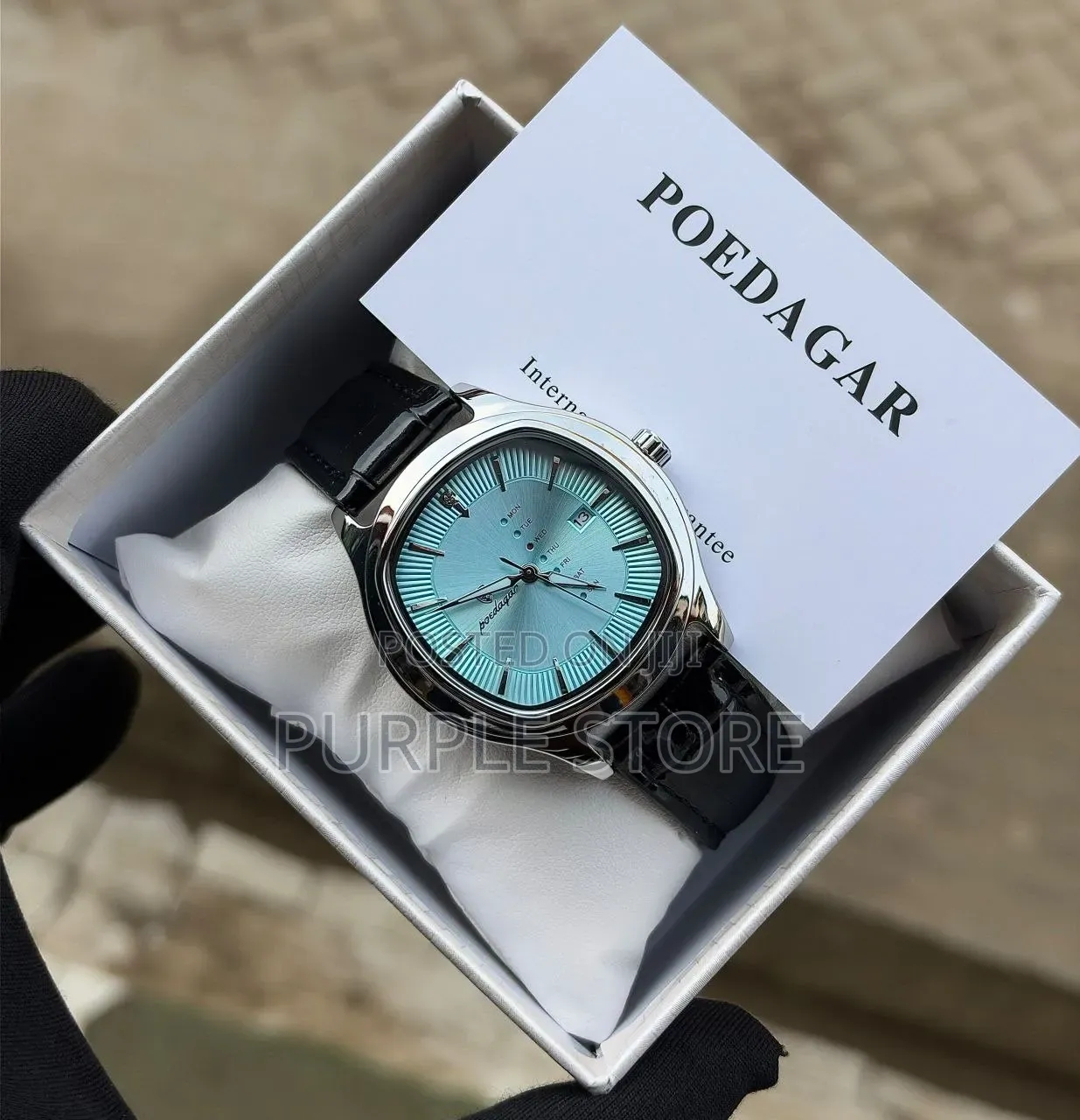 Poedagar Unisex Leather Watch