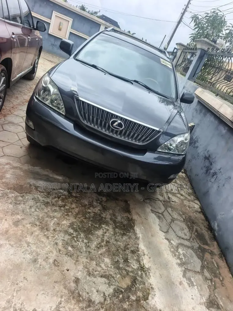 Lexus RX 2008 Gray
