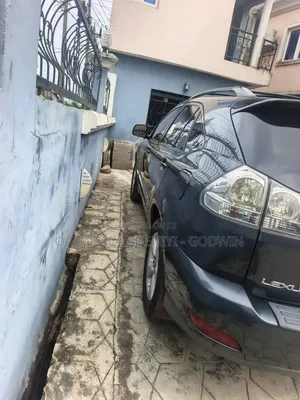 Lexus RX 2008 Gray