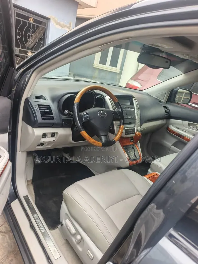 Lexus RX 2008 Gray