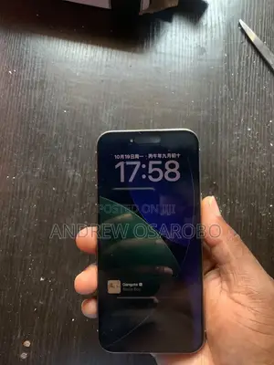 Apple iPhone 15 Pro Max 256 GB Gray