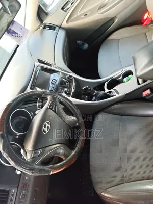 Hyundai Sonata 2011 Blue