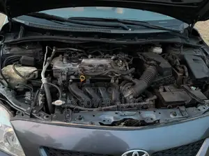 Toyota Corolla 2009 Gray