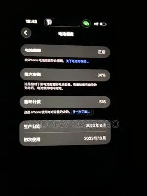 Apple iPhone 15 Pro Max 256 GB Gray