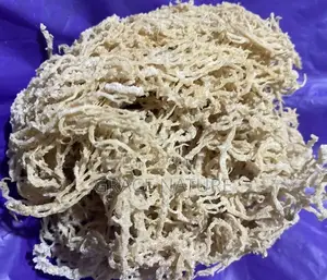 Irish Sea Moss
