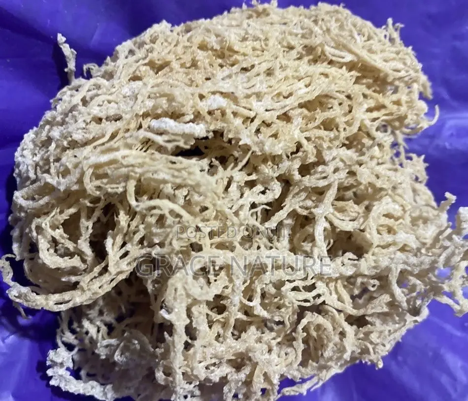 Irish Sea Moss