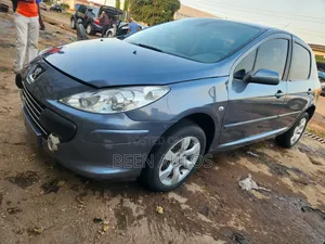 Peugeot 307 1.6 Grand Filou Cool 2008 Gray