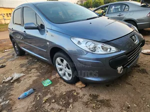 Peugeot 307 1.6 Grand Filou Cool 2008 Gray