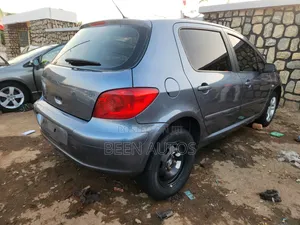 Peugeot 307 1.6 Grand Filou Cool 2008 Gray