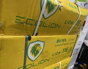 ECOLION 6kWh LiFePO4 Lithium Battery – 51.2V 117Ah | LION-11E