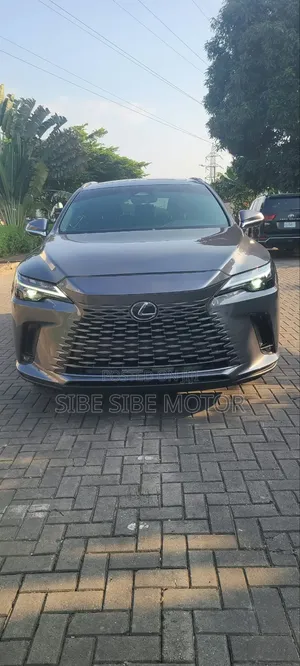 Lexus RX 350 Premium 2023 Gray