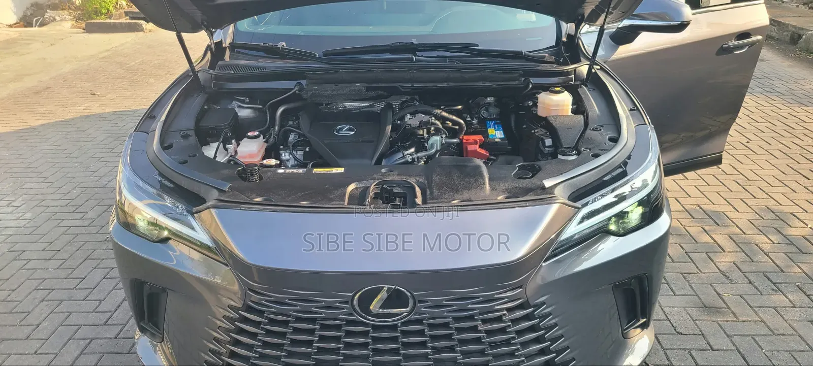 Lexus RX 350 Premium 2023 Gray