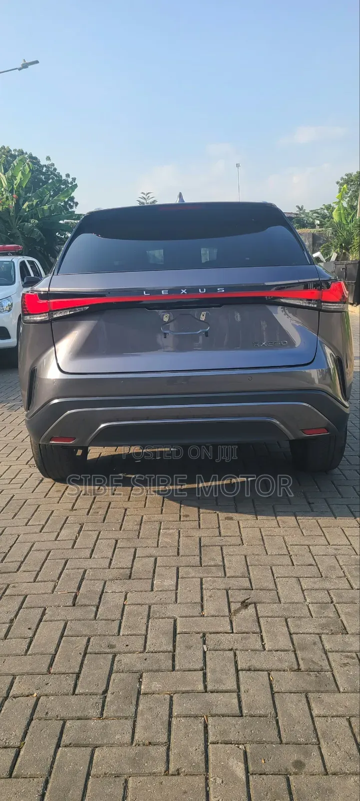 Lexus RX 350 Premium 2023 Gray