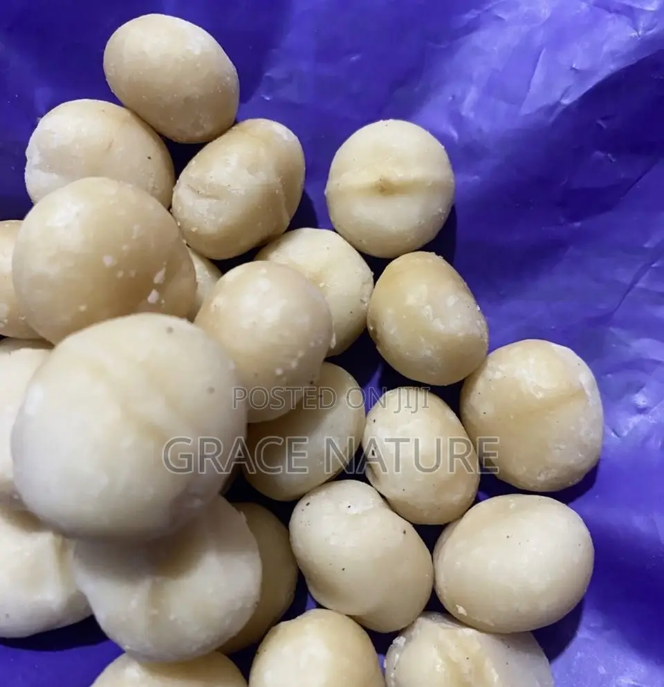 Macadamia Nuts