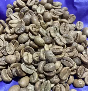 Green Coffee Beans
