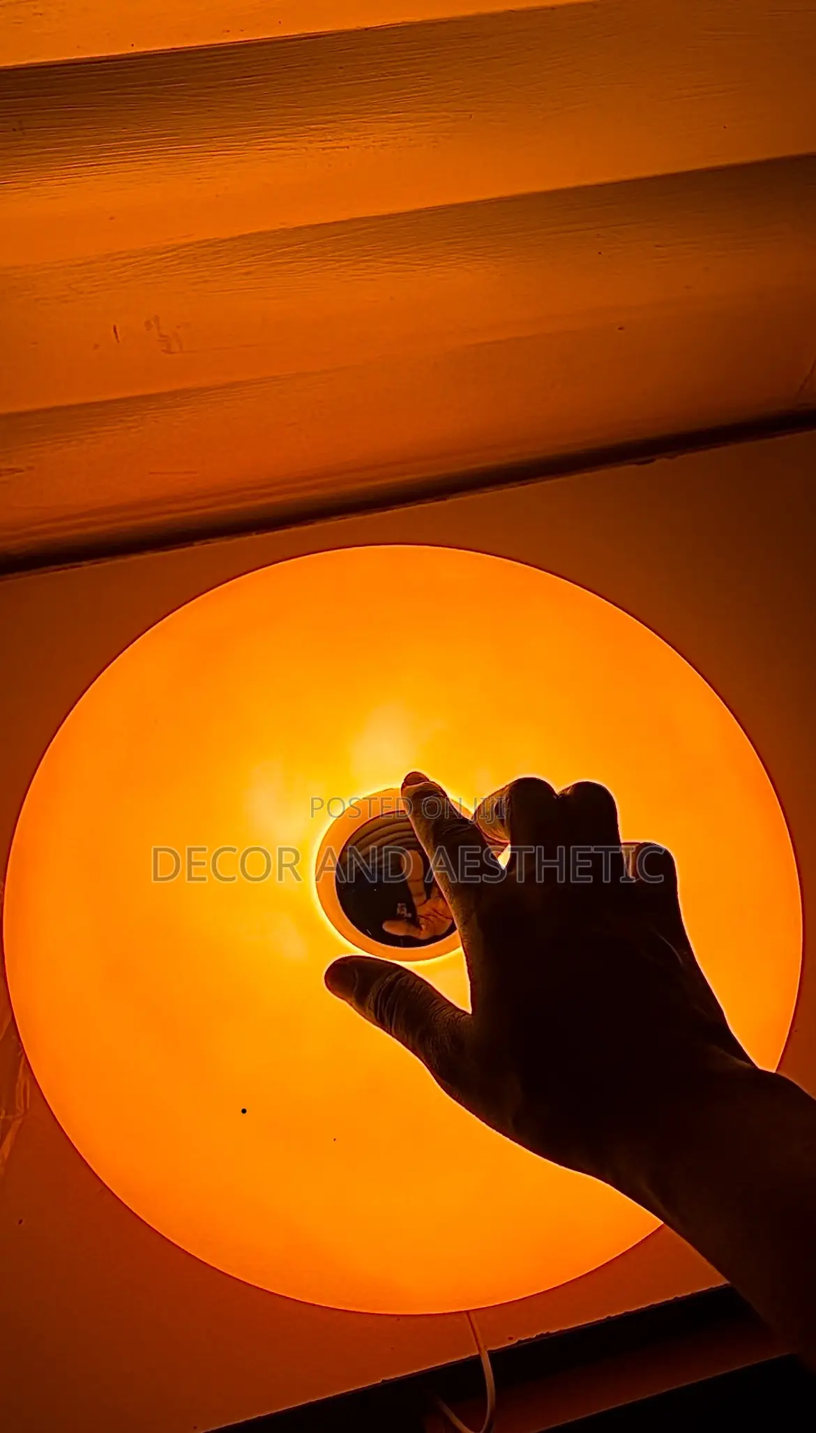 Donut Lights