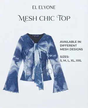 Mesh Chic Top