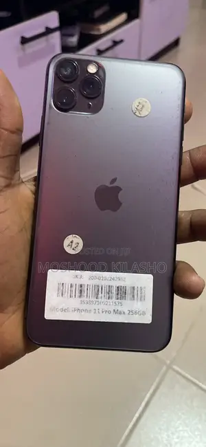 Apple iPhone 11 Pro Max 256 GB Gray