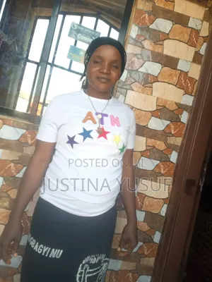 Professional Cleaner