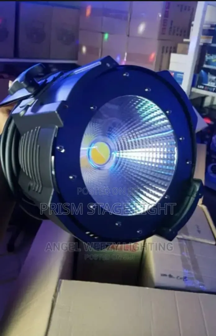 100w Cob Light