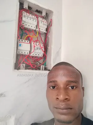 Electrician, Electrical Service