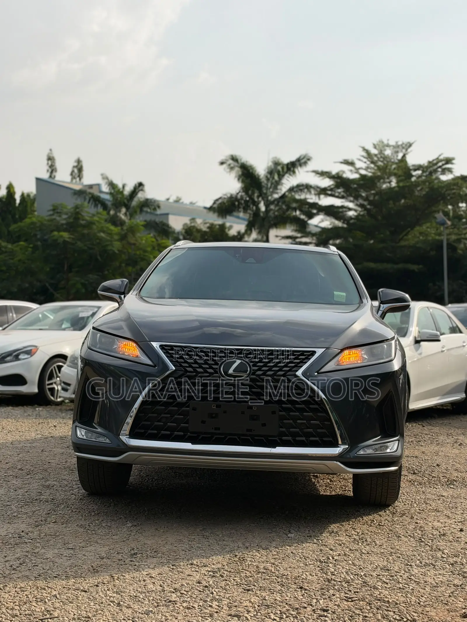 Lexus RX 2022 Gray