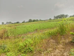Secure Your Future Today! Genuine Land Titles, Affordable Prices,.