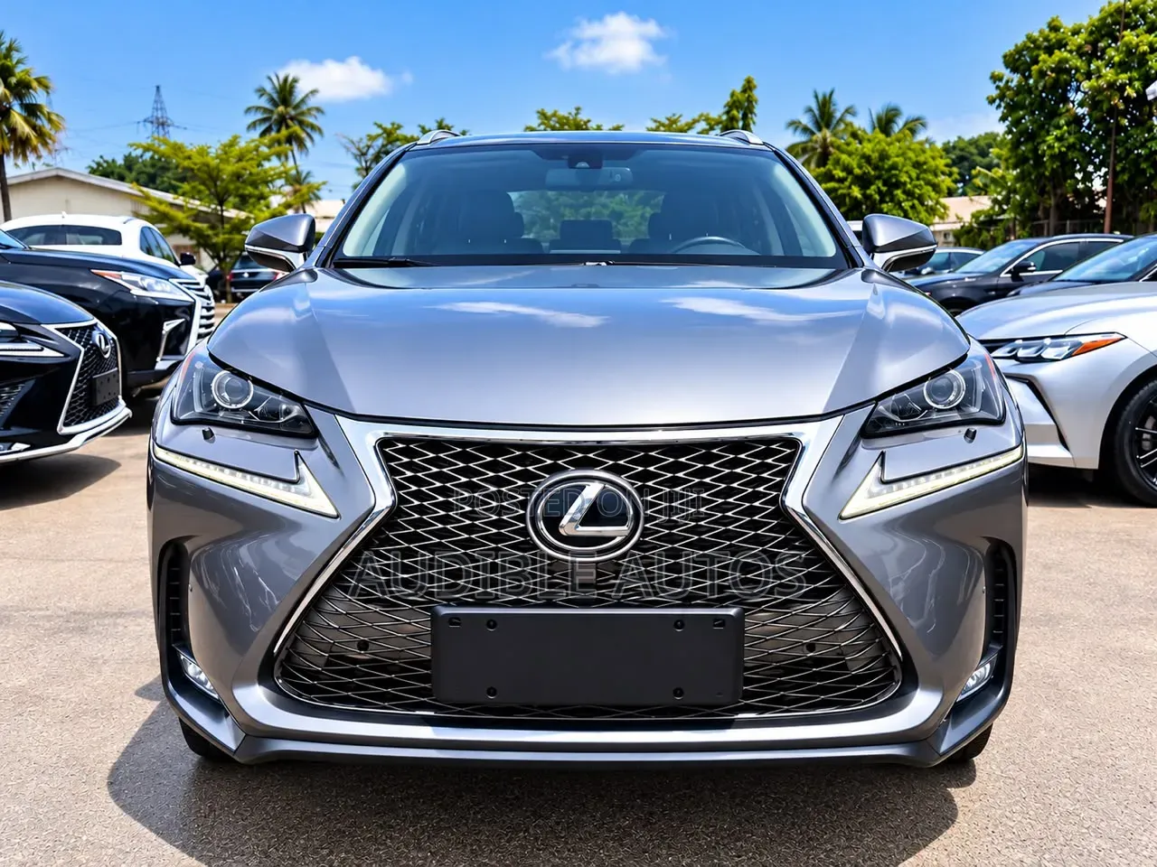 Lexus NX 2016 Gray
