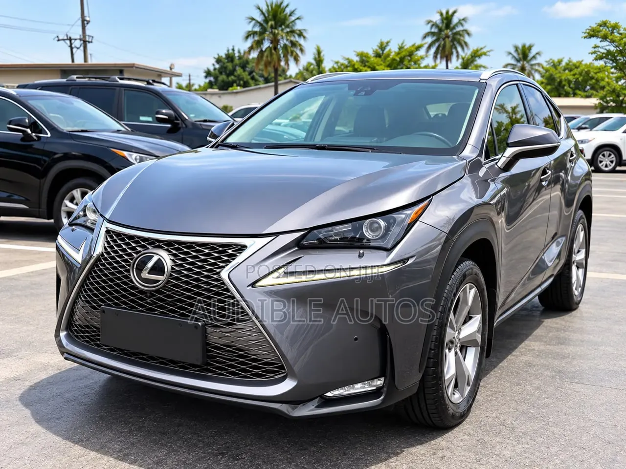 Lexus NX 2016 Gray