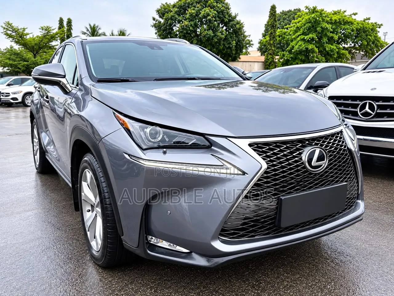 Lexus NX 2016 Gray